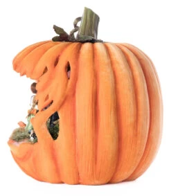 Katherine's Collection 18" Hansel And Gretel Lighted Pumpkin Scene Halloween Decoration 28-528622 -Christmas Decor Shop 28 528622 2 scaled 12431.1745268904