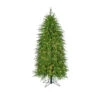 Regency 5' LED Lighted Norfolk Pine Artificial Christmas Tree MTX72869L