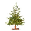 Raz 3' Bavarian Fir Tree With LED Lights Christmas Tree With Wood Stand T4509557