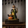 Bethany Lowe 9.25" Trick Or Treat Callie Witch Halloween Figure TD3151